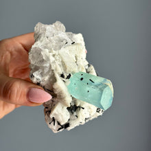 AAA Rare Aquamarine Specimen on Tourmalated Quartz Matrix