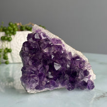 Amethyst Uruguay Cluster Crystal Specimen – Wholehearted Crystal Creations