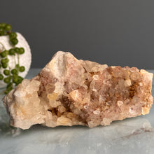 Garden Quartz Raw Crystal Specimen – Wholehearted Crystal Creations
