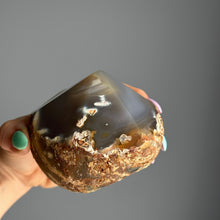 Agate Polished & Raw Crystal Specimen