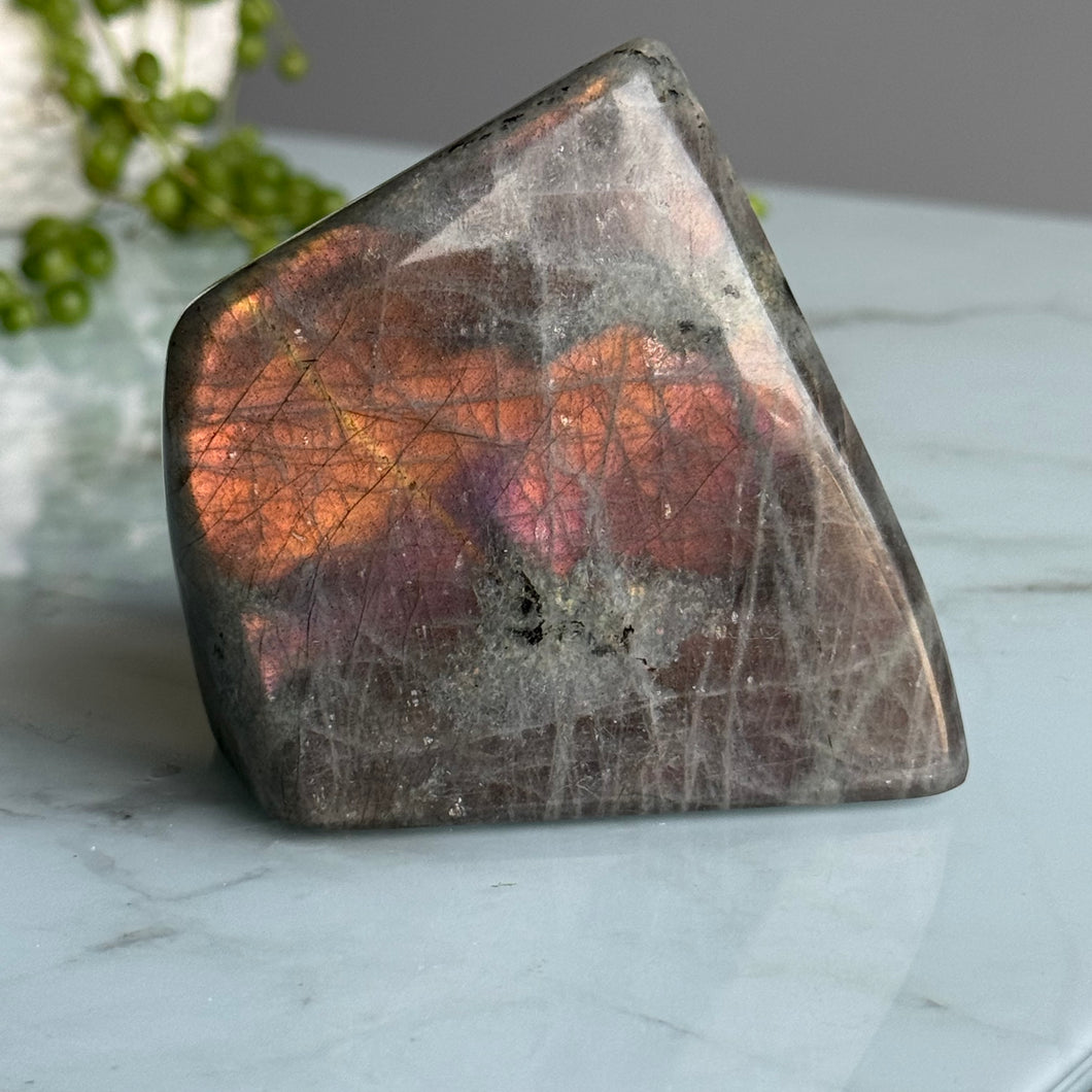 Labradorite (Orange, Pink & Purple Flash) Freeform Crystal Specimen