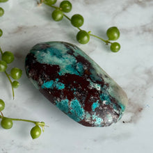 Chrysocolla (Phoenix Stone) Palm Stone Specimen