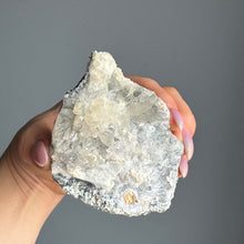White Flower Amethyst Crust Specimen