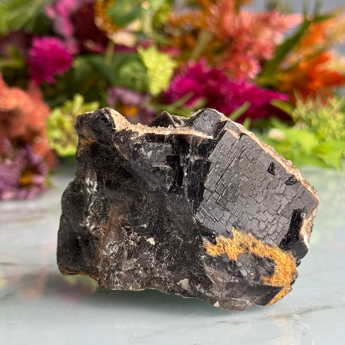 Etched Black Fluorite Raw Crystal Specimen UV Reactive RARE – Wholehearted Crystal Creations