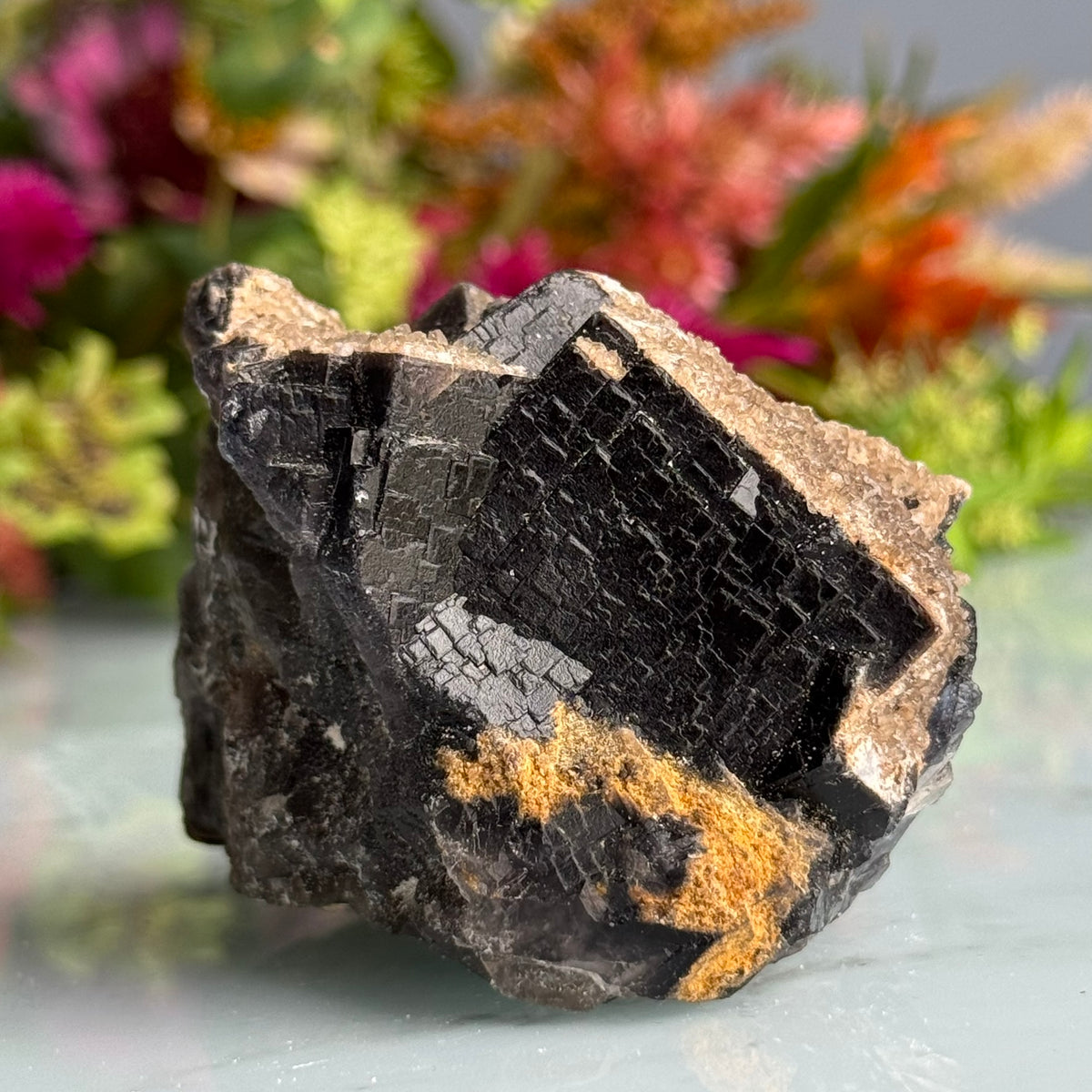 Etched Black Fluorite Raw Crystal Specimen UV Reactive RARE – Wholehearted Crystal Creations