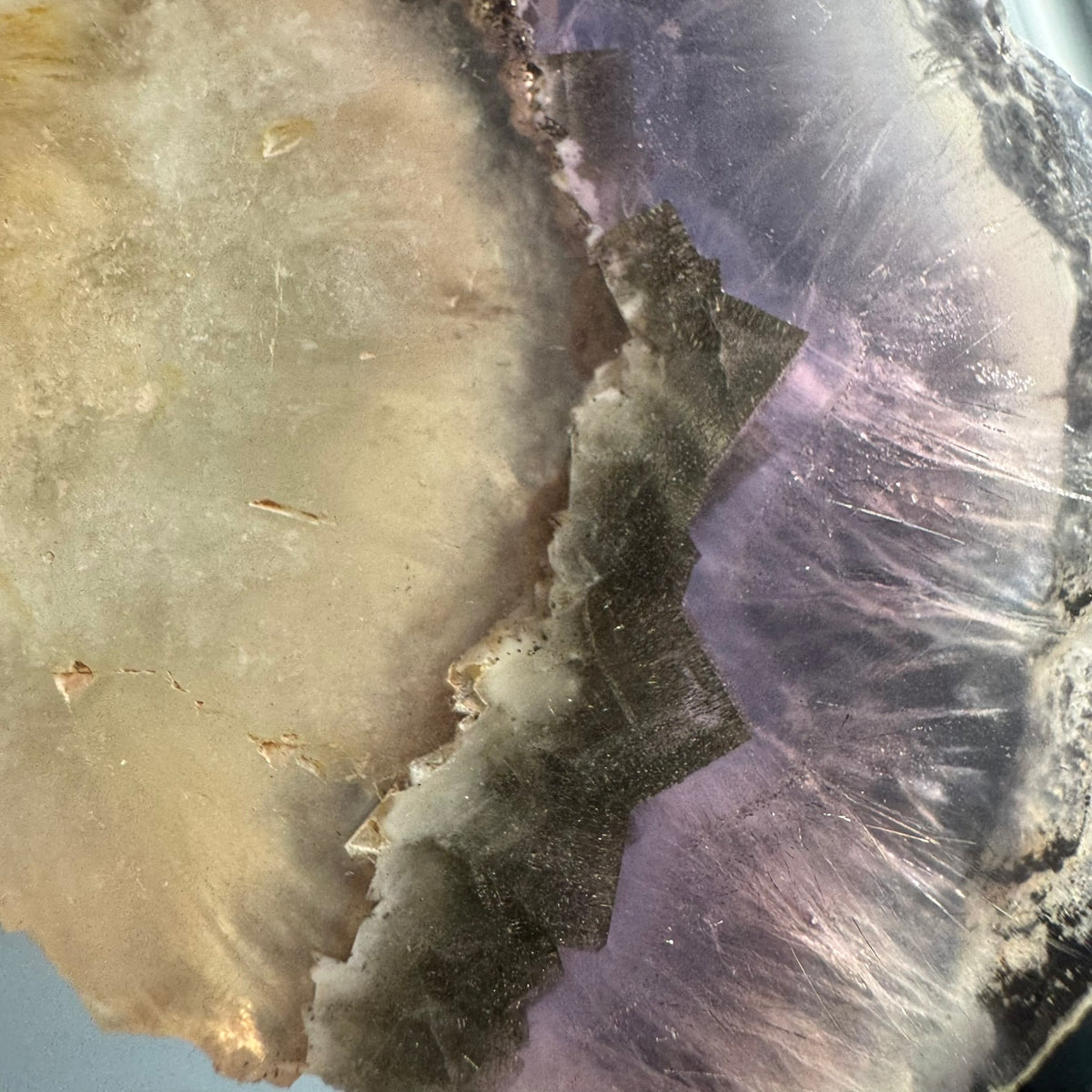 Fluorite with Pyrite and Rutile Inclusions Polished Slab Crystal Specimen – Wholehearted Crystal Creations