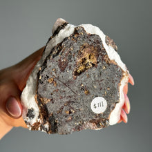 Pink Aragonite Raw Crystal Specimen