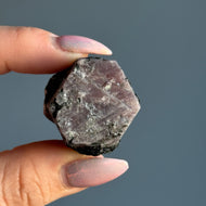 Ruby Sacred Hexagon Raw Crystal Specimen – Wholehearted Crystal Creations