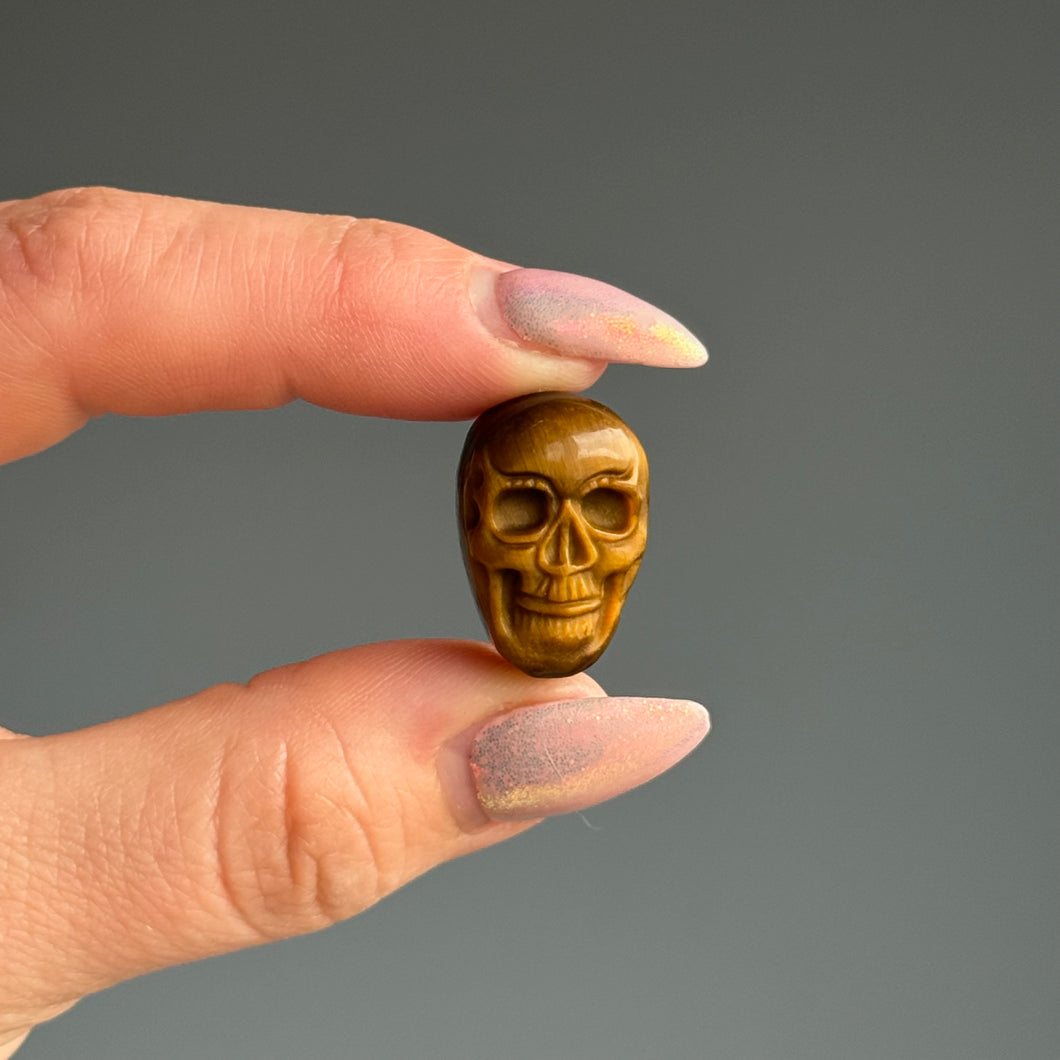 Tiger's Eye Mini Skull Carving Crystal Specimen