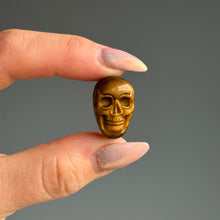 Tiger's Eye Mini Skull Carving Crystal Specimen