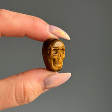 Tiger's Eye Mini Skull Carving Crystal Specimen