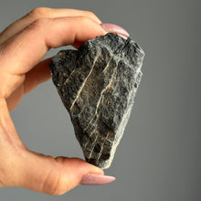 Black Tourmaline Raw Crystal Specimen