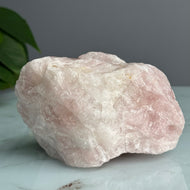 Rose Quartz Raw Crystal Specimen – Wholehearted Crystal Creations