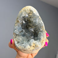 Celestite (Raw) Cluster Egg Specimen – Wholehearted Crystal Creations