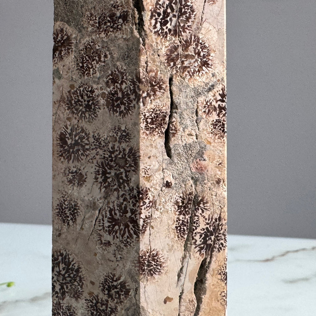 Coral Jasper Tower Crystal Specimen – Wholehearted Crystal Creations
