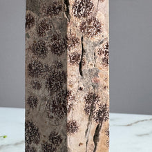 Coral Jasper Tower Specimen