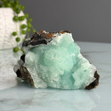 RARE Blue Aragonite Raw Crystal Specimen – Wholehearted Crystal Creations
