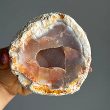 Orca Agate Druzy Geode Specimen
