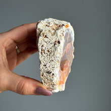 Orca Agate Druzy Geode Specimen