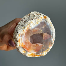 Orca Agate Druzy Geode Specimen