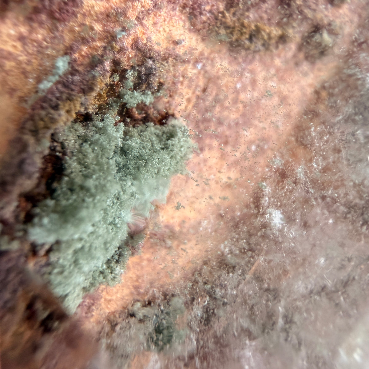 Garden Quartz Tower Crystal Specimen GQT#29 – view 2 – Wholehearted Crystal Creations