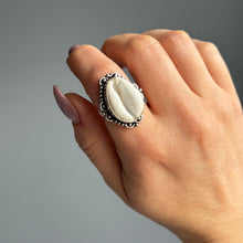 Sterling Silver Plated (Nickle-Free) Shell Ring Size 6.5 Crystal Jewellery Specimen