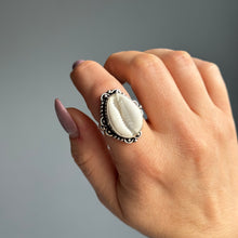 Sterling Silver Plated (Nickle-Free) Shell Ring Size 6.5 Crystal Jewellery Specimen