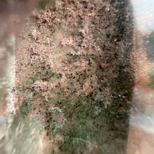 Garden Quartz Tower Crystal specimen GQT#36