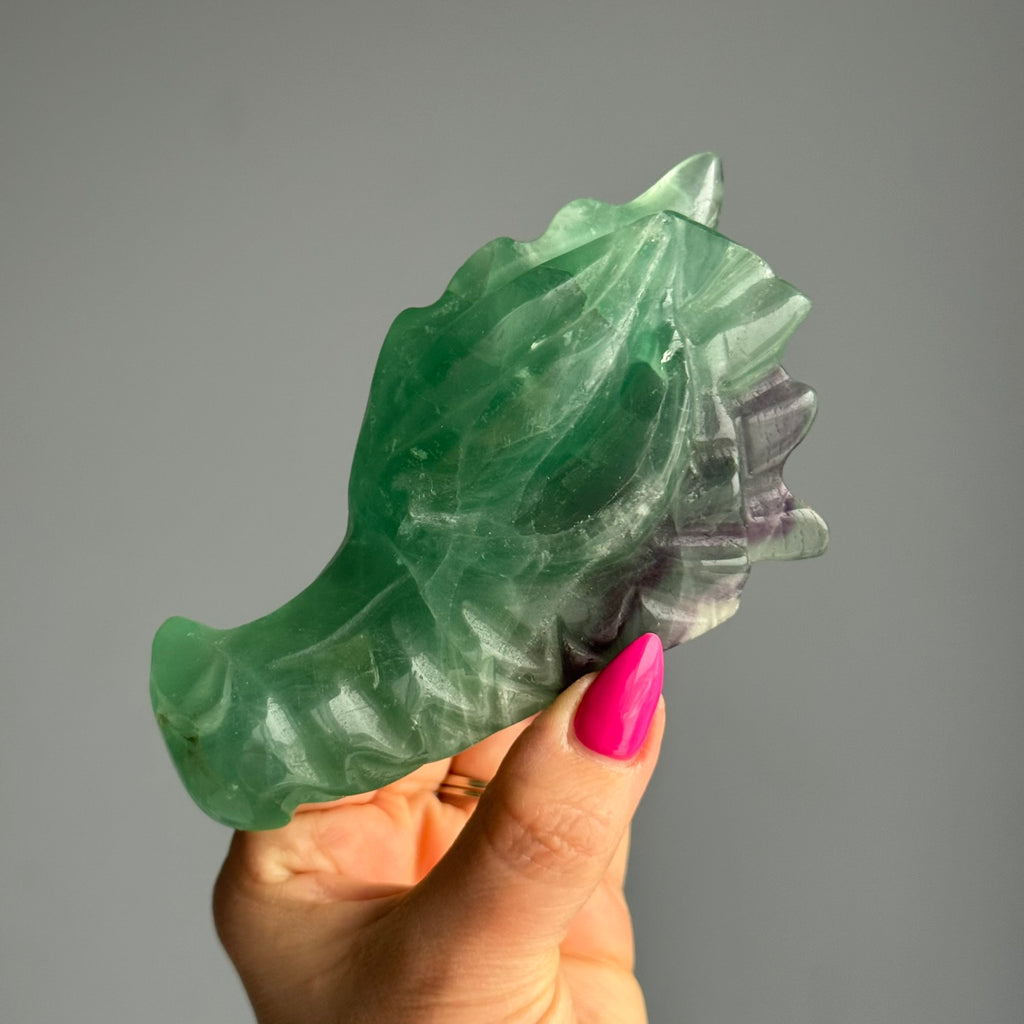 Fluorite Dragon Head Carving Specimen – Wholehearted Crystal Creations