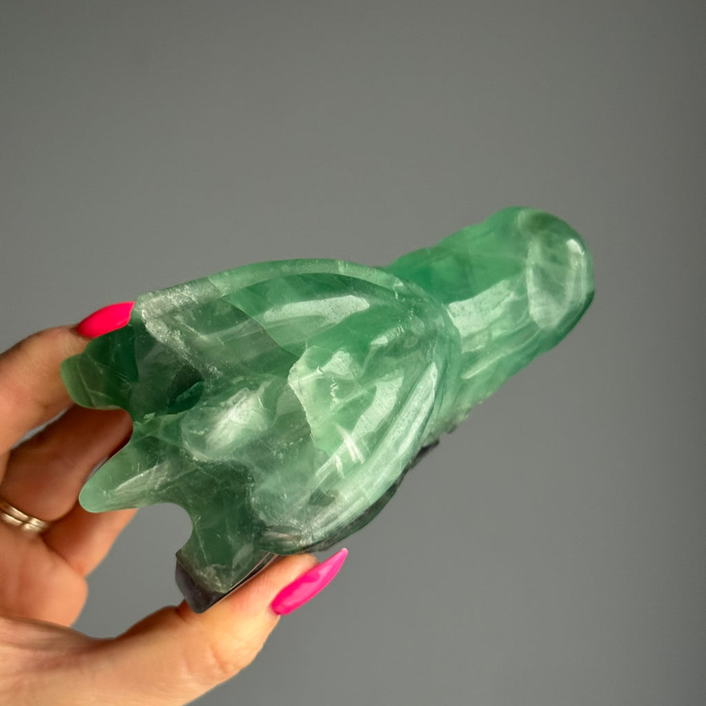 Fluorite Dragon Head Carving Specimen – Wholehearted Crystal Creations