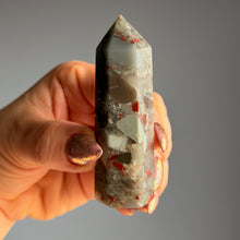 Bloodstone Jasper Tower Specimen #BS2