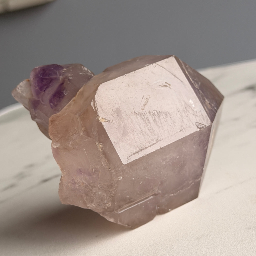 Skeletal Amethyst Scepter Specimen – Wholehearted Crystal Creations