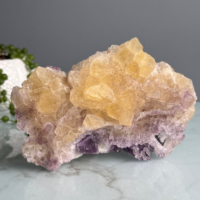 Yellow and Purple Fluorite Raw Crystal Specimen