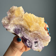 Yellow and Purple Fluorite Raw Crystal Specimen