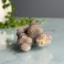 Smoky Spirit Quartz Raw Crystal Specimen