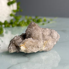 Smoky Spirit Quartz Raw Crystal Specimen