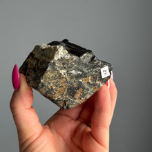 Black Tourmaline Raw Crystal Specimen – Wholehearted Crystal Creations
