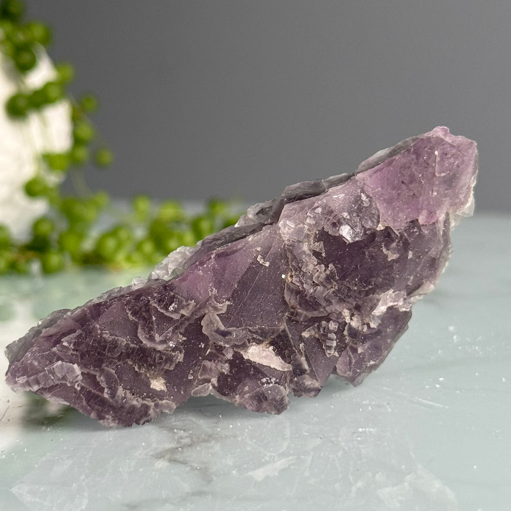 Etched Purple Fluorite Raw Crystal Specimen – Wholehearted Crystal Creations