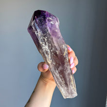 Elestial Amethyst (Dragon's Tooth) Specimen