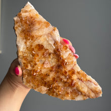 Citrine (HTA) Cluster Crystal Specimen
