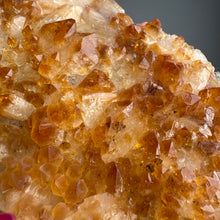 Citrine (HTA) Cluster Crystal Specimen