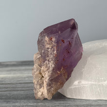 Elestial Amethyst Dragon's Tooth Mini Crystal Specimen – Wholehearted Crystal Creations
