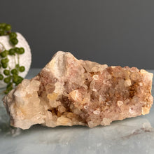 Garden Quartz Raw Crystal Specimen – Wholehearted Crystal Creations