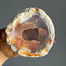 Orca Agate Druzy Geode Crystal Specimen – Wholehearted Crystal Creations