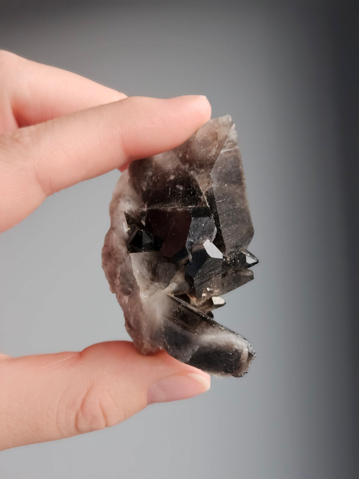 Smoky Quartz Raw Crystal Specimen – Wholehearted Crystal Creations