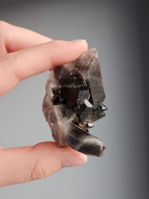 Smoky Quartz Raw Crystal Specimen – Wholehearted Crystal Creations
