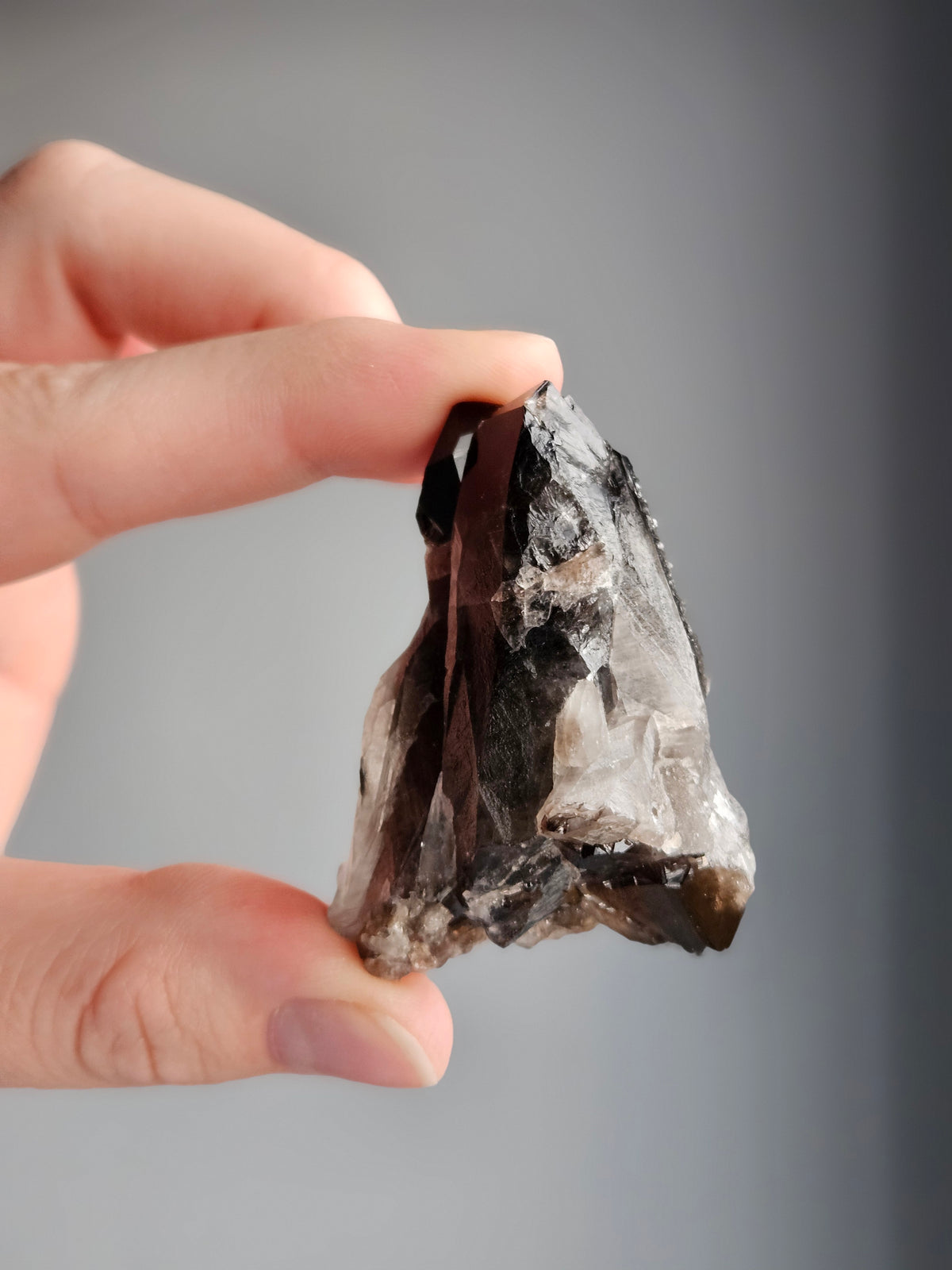 Smoky Quartz Raw Crystal Specimen – Wholehearted Crystal Creations