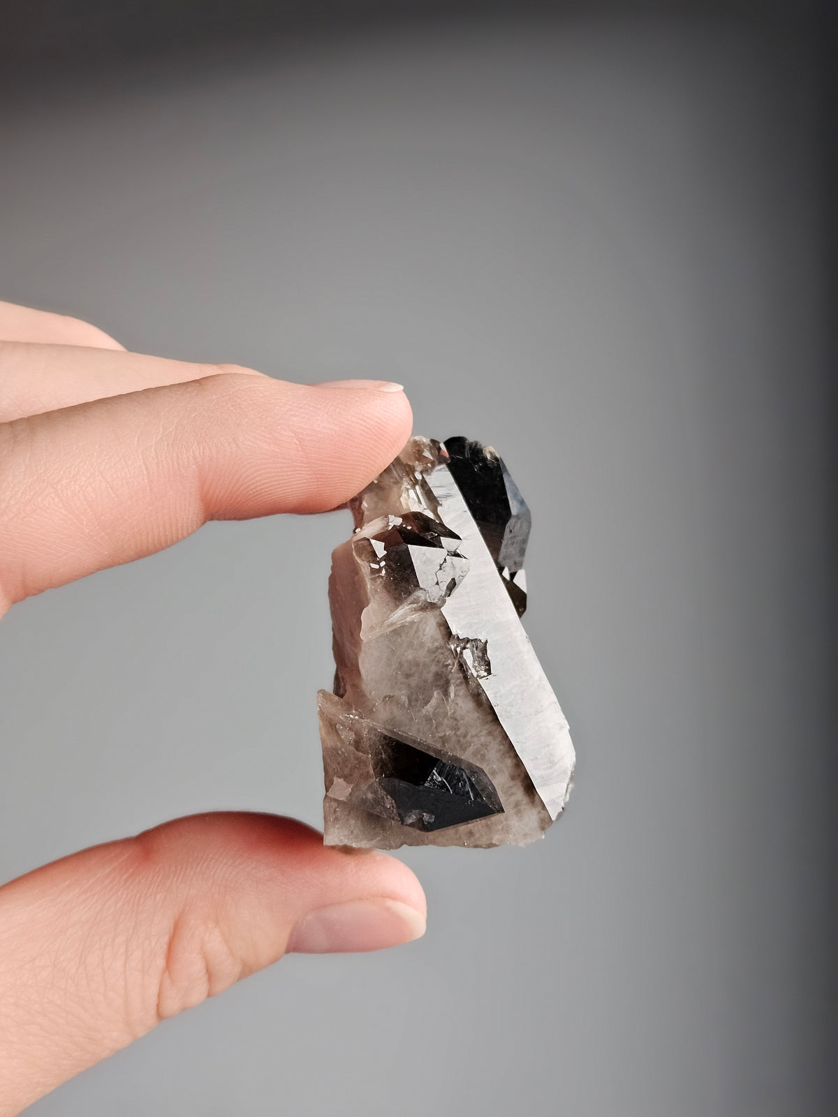Smoky Quartz Raw Crystal Specimen – Wholehearted Crystal Creations