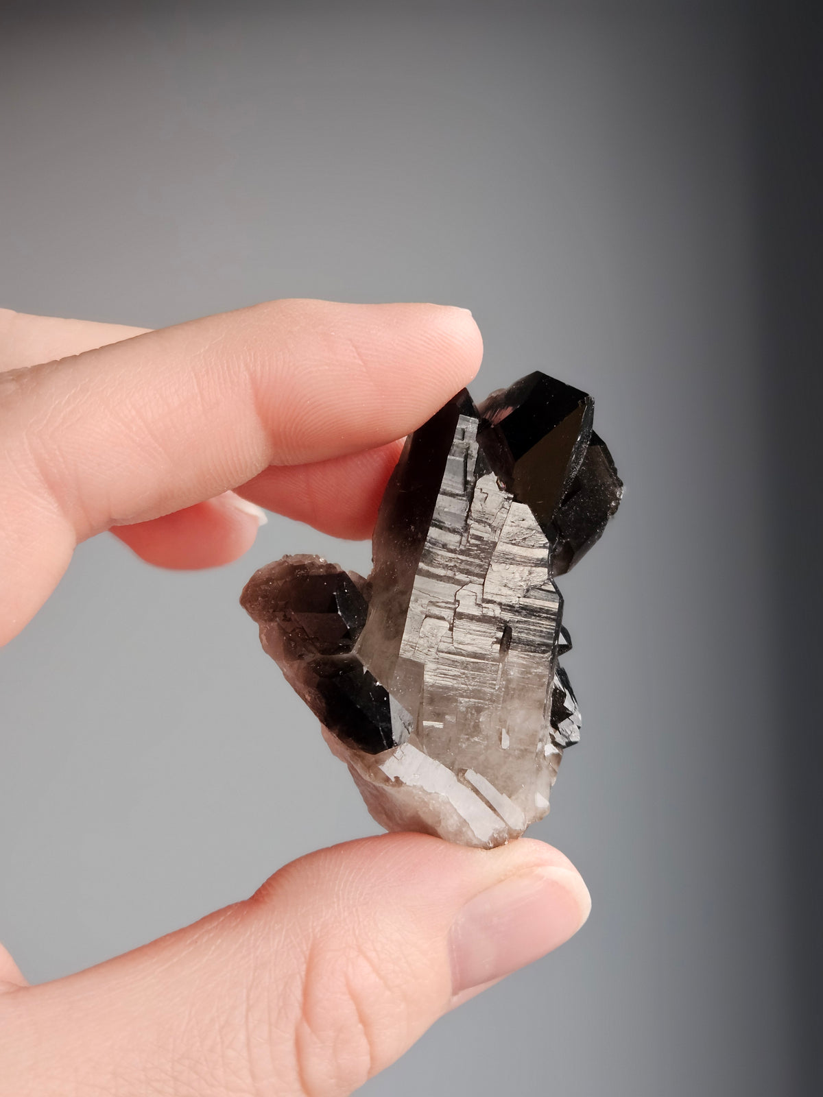 Smoky Quartz Raw Crystal Specimen – Wholehearted Crystal Creations