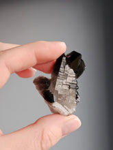Smoky Quartz Raw Crystal Specimen – Wholehearted Crystal Creations